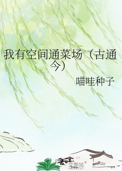 港片你洪兴仔慈善大王什么鬼无错